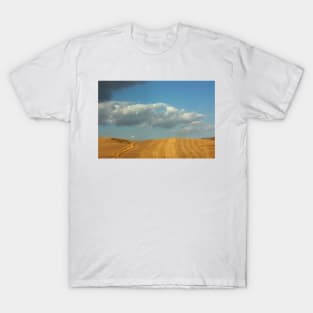 Sicily. Fields. 2011 T-Shirt